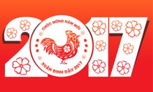 Công tác tổ chức xây dựng đảng qua các năm Dậu